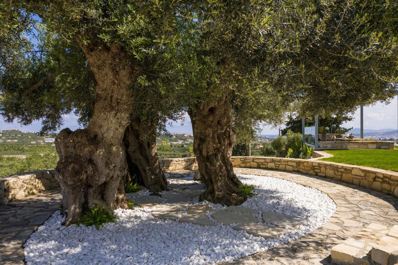 Olivenest Chania Executive Villa Perivólia المظهر الخارجي الصورة